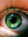 Human Green Eye in Close Up