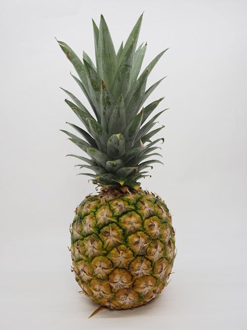 Free stock photo of fresh fruits, fruit, pineapple Stock Photo