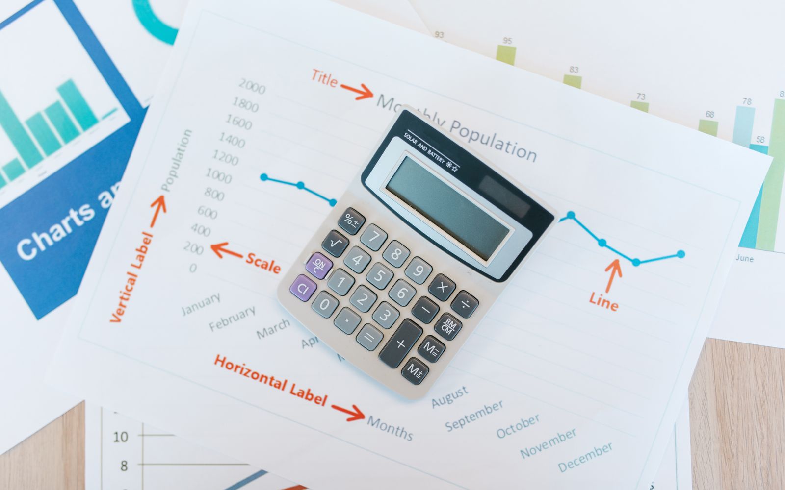 Credit score & history detail