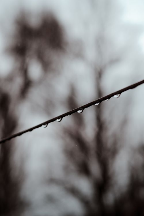 Free A moody photograph showcasing raindrops delicately perched on a wire with a blurred background. Stock Photo