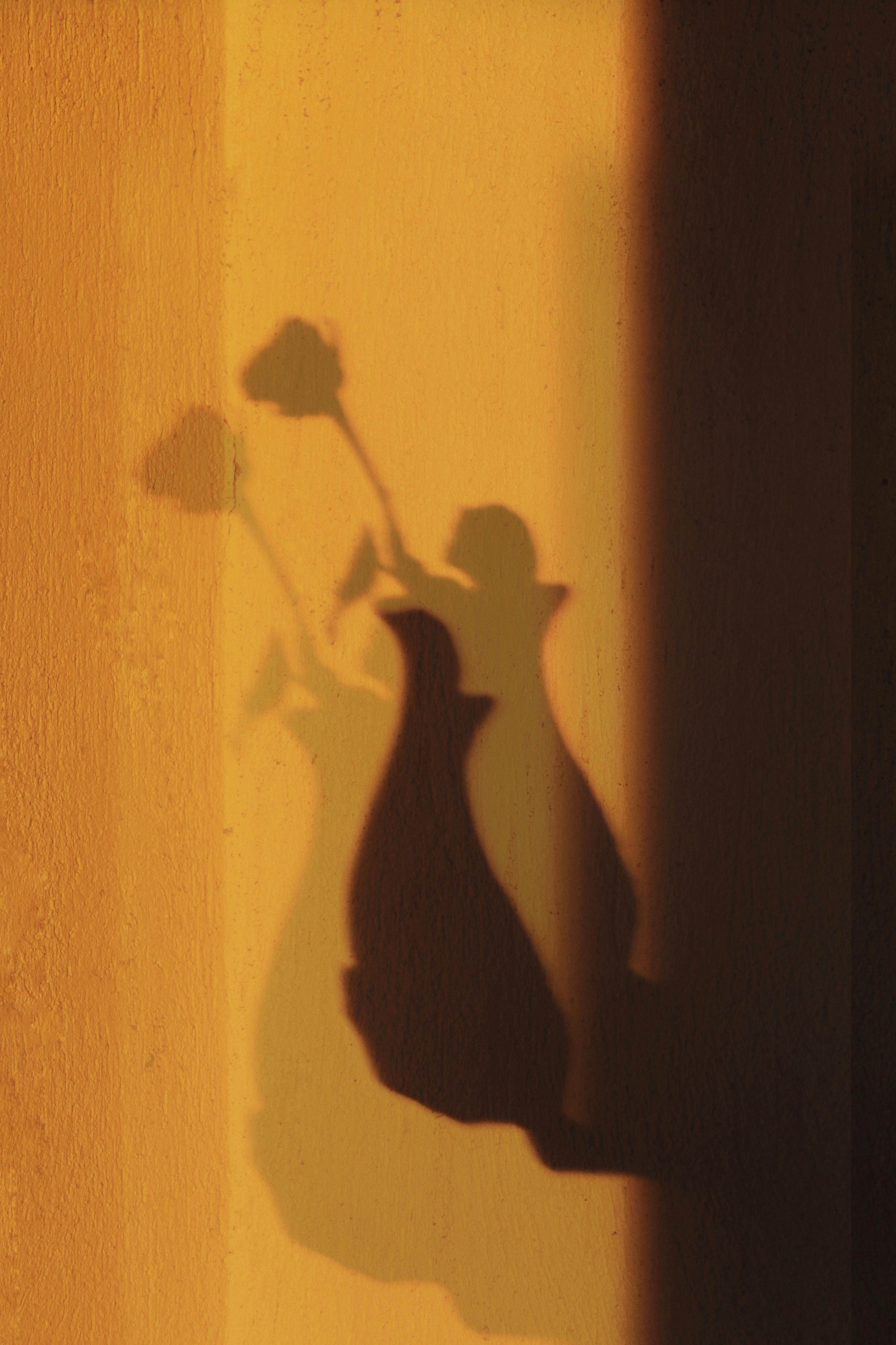 Shadow of blooming flower on long stem with leaves in vase on hand of person at sunlight