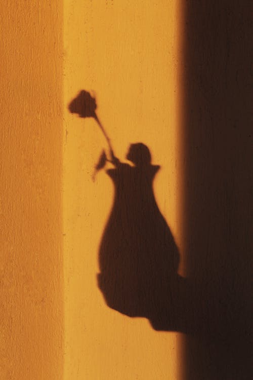 Shadow of blooming flower on vase on hand of person