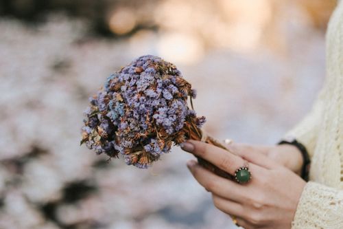 Free A close-up of a person holding a bouquet of dried purple flowers, emphasizing texture and color. Stock Photo