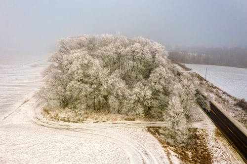 An Aerial Photography of a Snow Covered Trees and Ground Near the Road