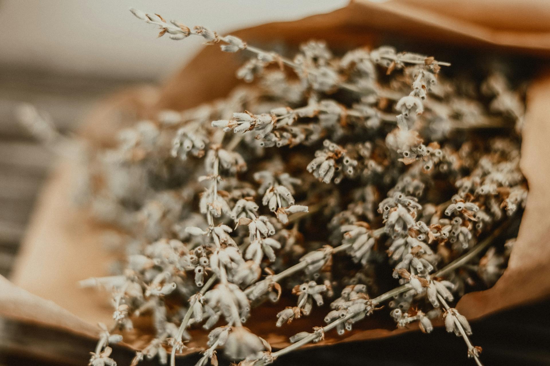 A detailed shot of dried lavender herbs wrapped in brown paper, perfect for alternative medicine and aromatherapy uses.