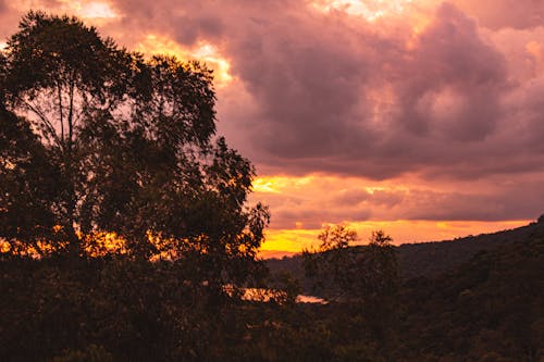 бесплатная Бесплатное стоковое фото с багровое небо, гора, деревья Стоковое фото