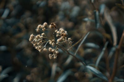 Professional pipe work