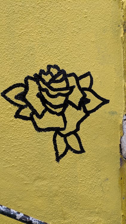 Free stock photo of flower, street art, yellow Stock Photo
