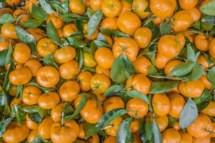 A Pile Of Mandarin Oranges