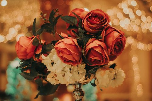 Free Close-up of a rose bouquet with warm bokeh lighting, creating a romantic atmosphere. Stock Photo