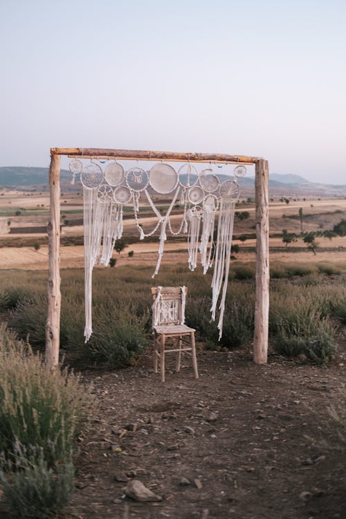 De franc Foto d'estoc gratuïta de arbor, boda, cadira de fusta Foto d'estoc
