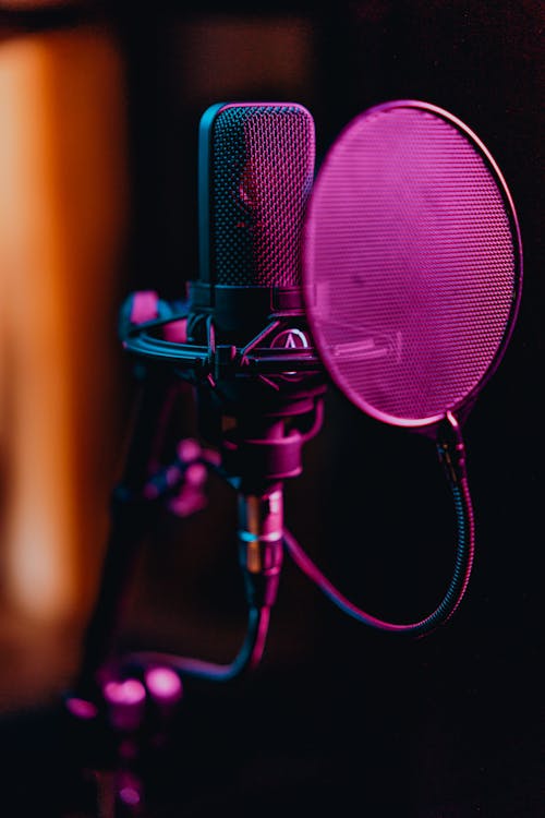 Close-Up Photo of a Condenser Microphone