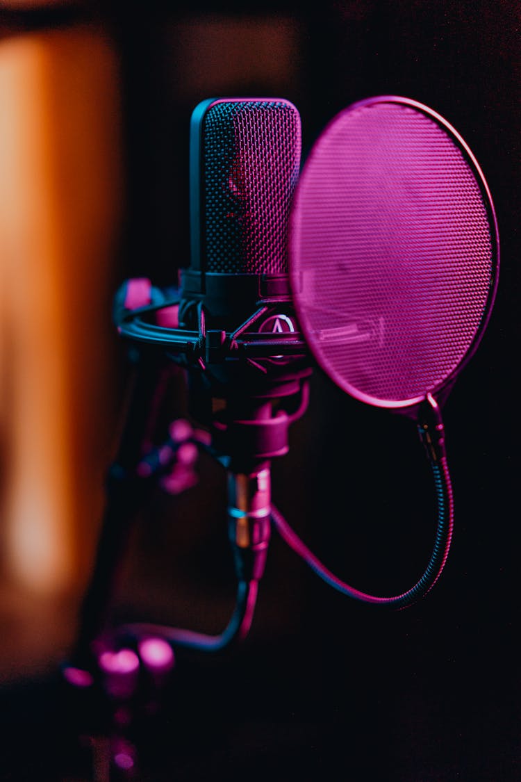 Close-Up Photo Of A Condenser Microphone