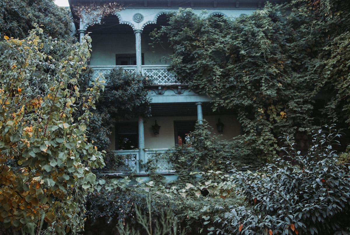 Silverfish in Broward County: Why South Florida Homes Have Them and How to Eliminate Them