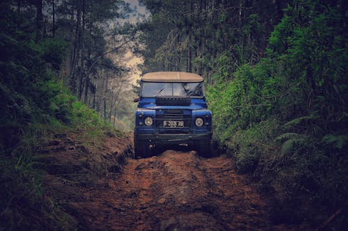 Voiture Bleue Sur Un Chemin De Terre Entre Les Arbres à Feuilles Vertes