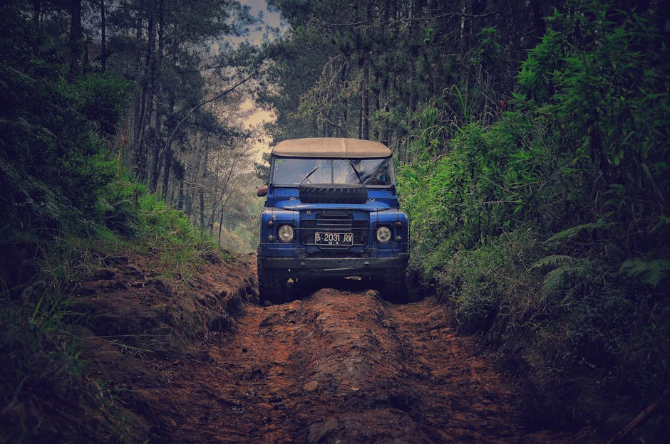 Blue Car on Dirt Road Between Green Leaf Trees