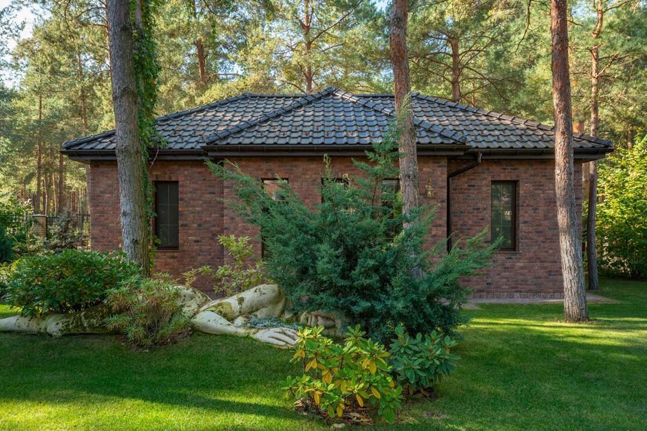 Mature trees surrounding a residential brick house — assessing tree relocation service candidates in Surrey BC