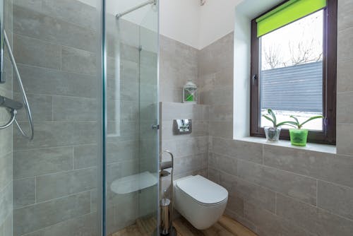 Two Potted Plants Inside the Bathroom