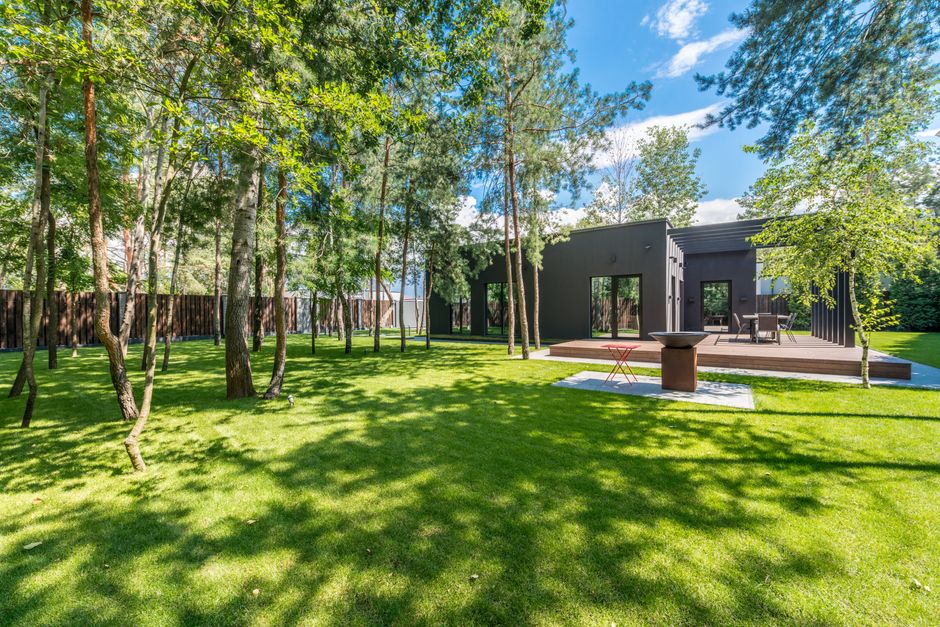 Trees outside a modern residential house — replanting after tree removal in Surrey BC