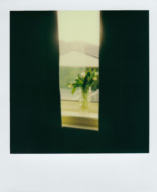 Nostalgic instant film photo of white tulips in a vase by a window with vintage vibes.