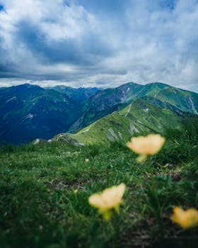 Stunning mountain range view with vibrant wildflowers in the foreground