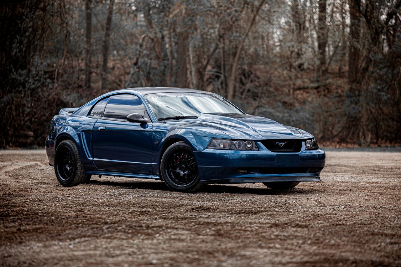 captivating image of a blue ford mustang parked in a forest setting