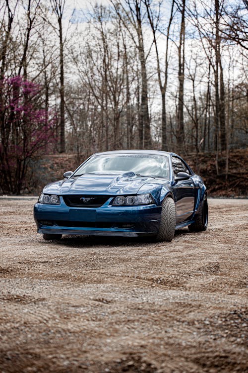 Fotobanka s bezplatnými fotkami na tému auto, automobil, mustang