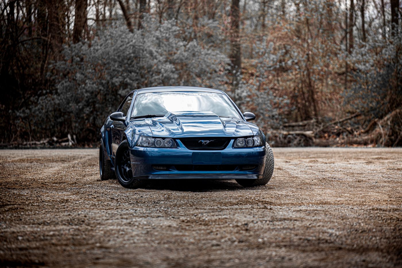 Blue Ford Mustang parked in a forest