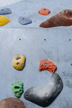Close-up of colorful climbing holds on a rock wall for sport climbing activity.
