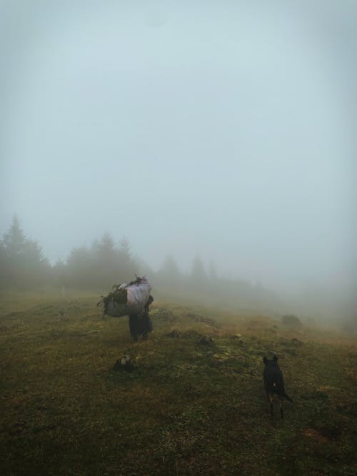 A Person Carrying a Sack of Grass on a Foggy Field