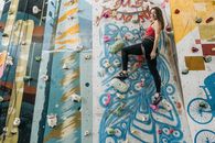 Free stock photo of art, artistic, climbing wall