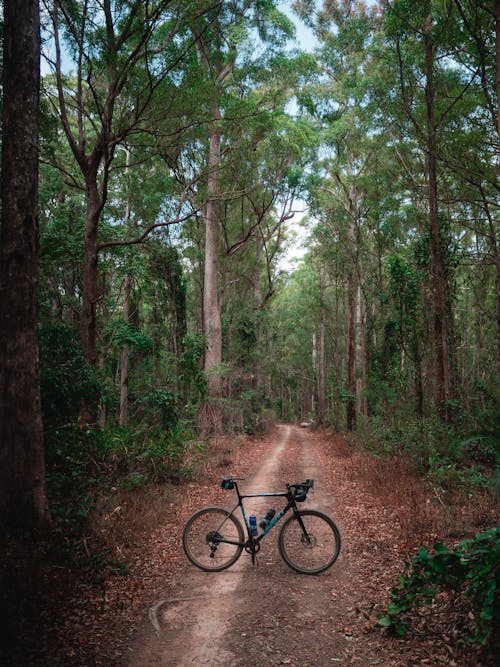 Безкоштовне стокове фото на тему «велосипед, вертикальні постріл, ґрунтова дорога»