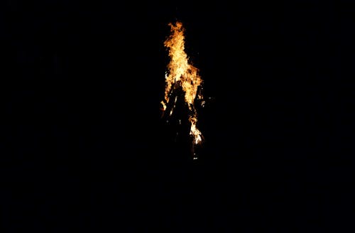 Free stock photo of bonfire, branch, camp fire Stock Photo