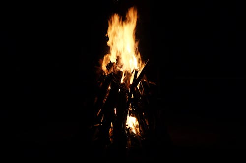 Free stock photo of bonfire, branch, camp fire Stock Photo