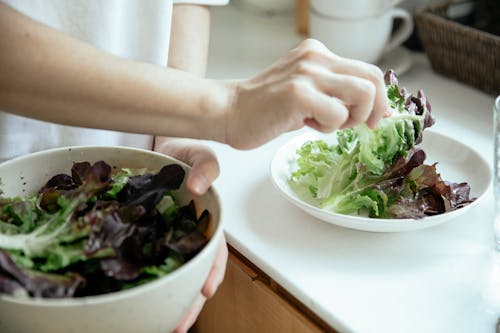 Free From above of crop person putting fresh mix of green salad leaves from bowl into white plate Stock Photo