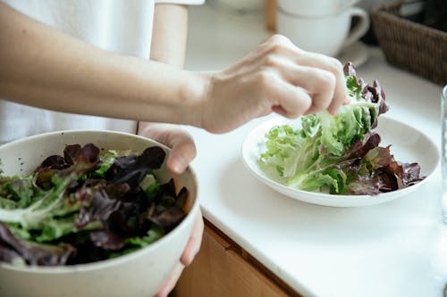 Foto profissional grátis de alimento, anônimo, atender