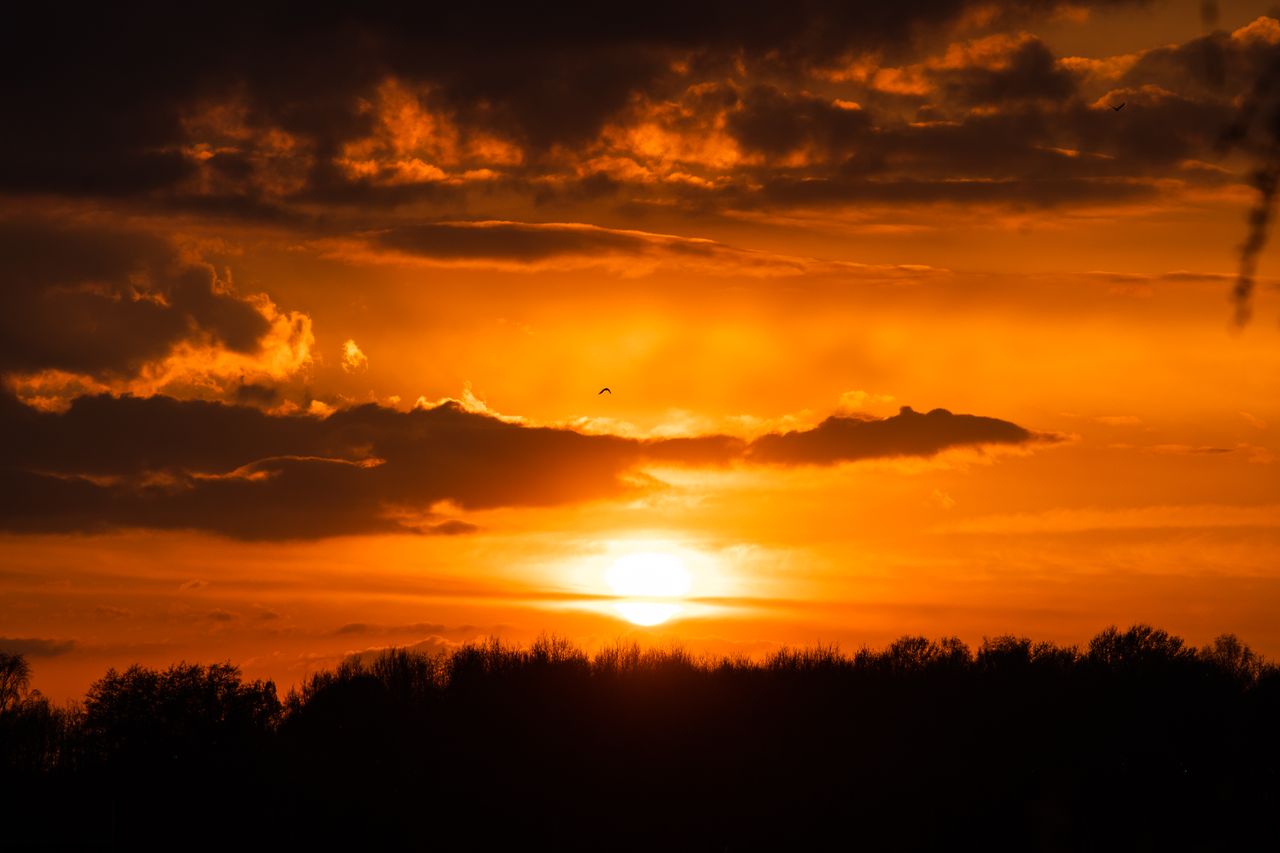 captivating sunset with dramatic skies and silhouettes over cape town