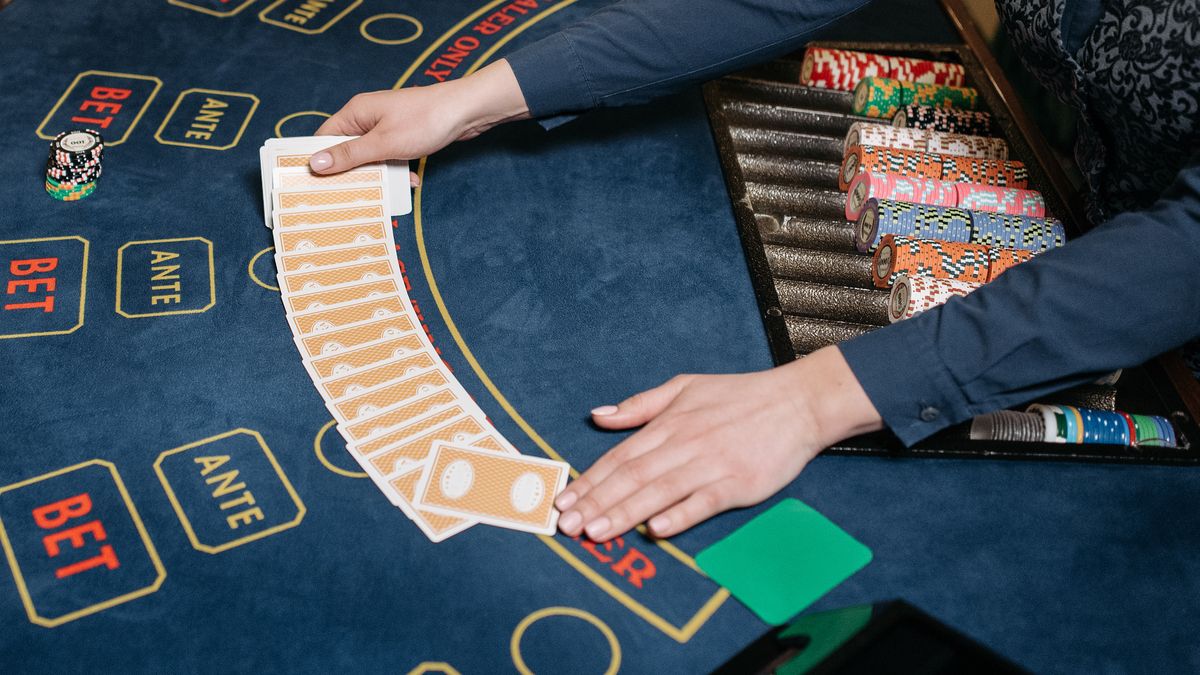 alf casino