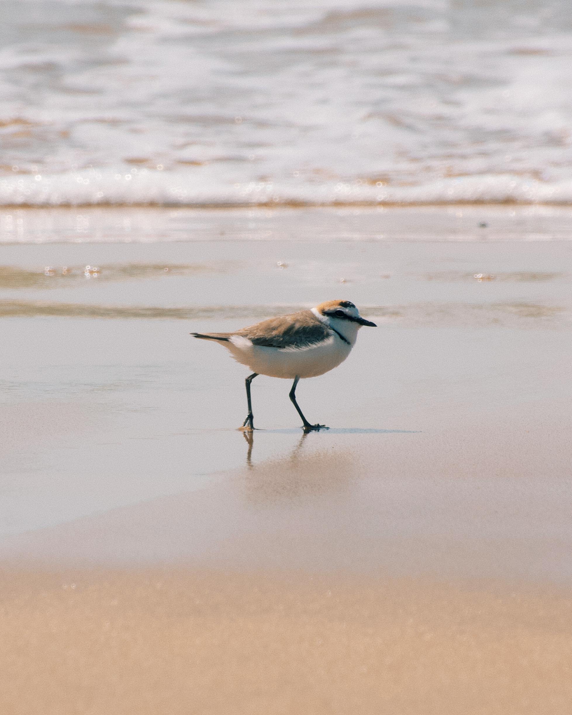 Современные Игровые