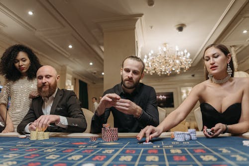 Gratis lagerfoto af folk, gambling, hund legetøj