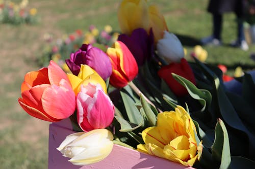 A Bunch of Colorful Flowers on a Wooden Basket