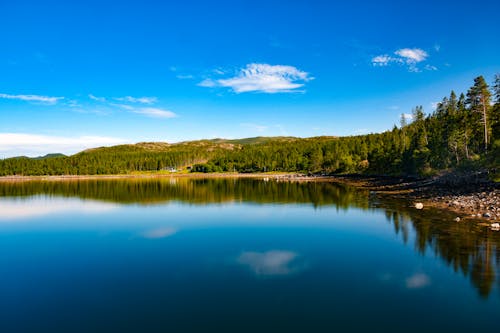 Безкоштовне стокове фото на тему «берег озера, блакитне небо, відображення»