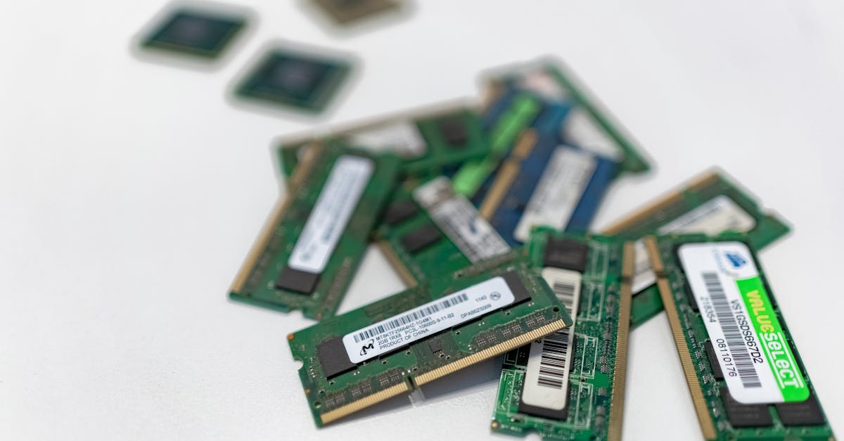 政治:紀念二二八鄭竹梅:記憶與理想的追尋