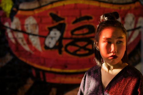 Základová fotografie zdarma na téma asijský, červená, Čínská čtvrť