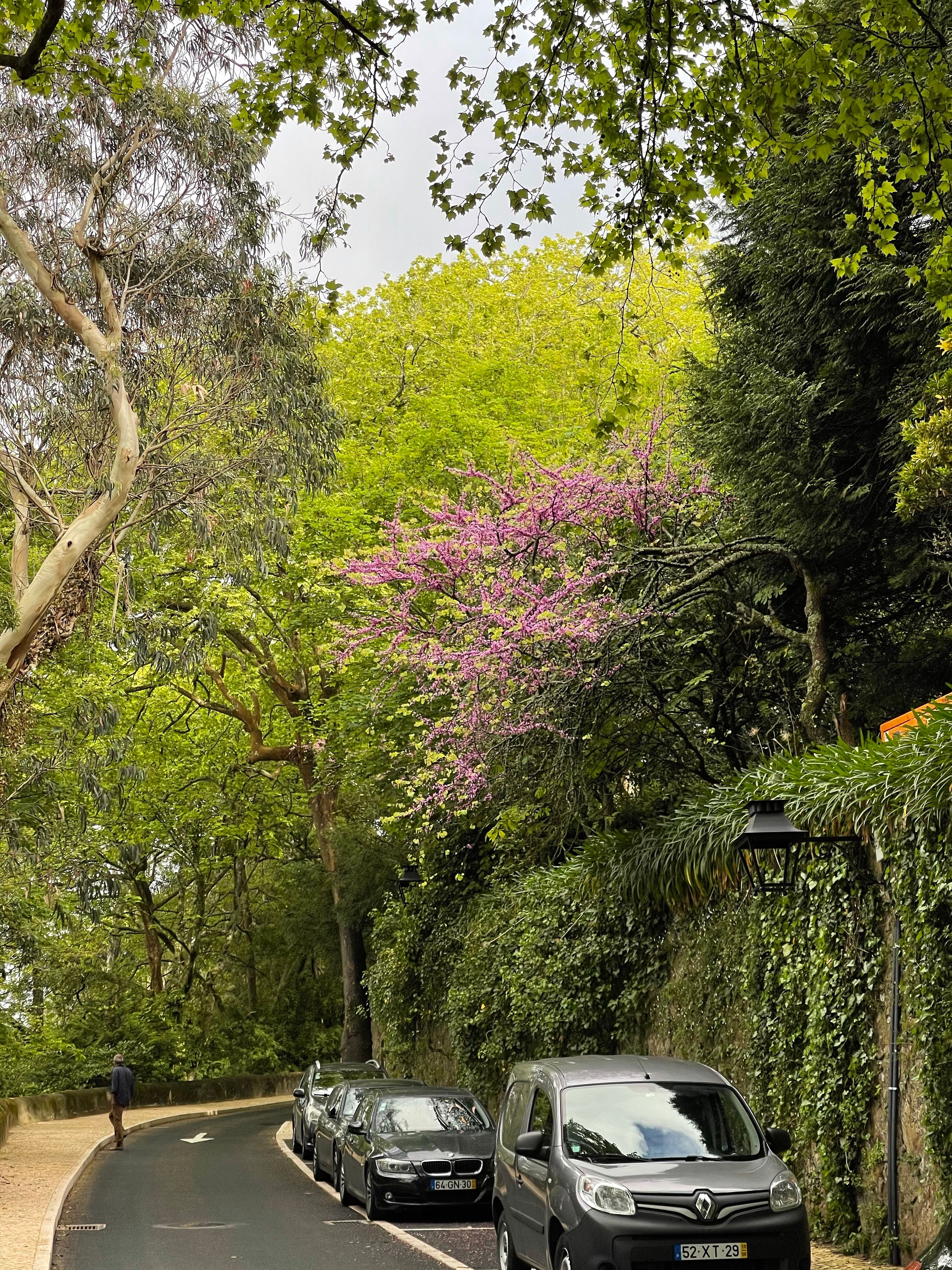 Parked Cars on the Side of the Road · Free Stock Photo