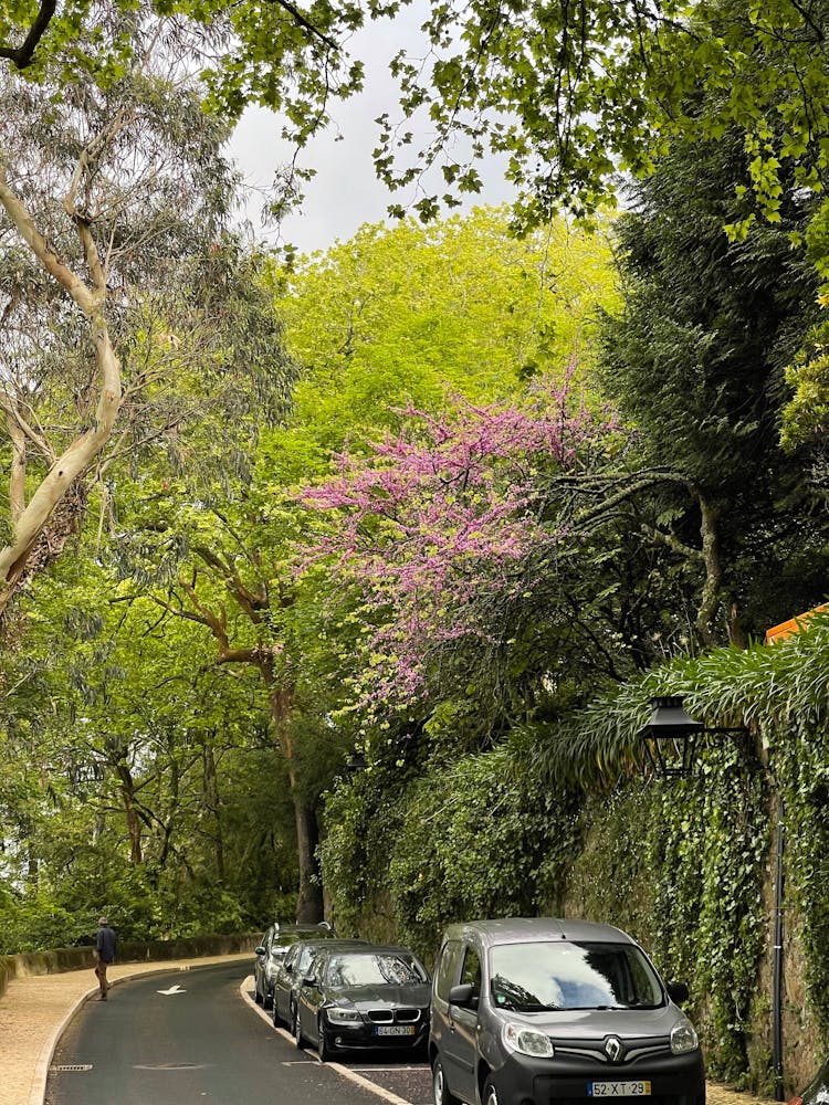 Parked Cars On The Side Of The Road