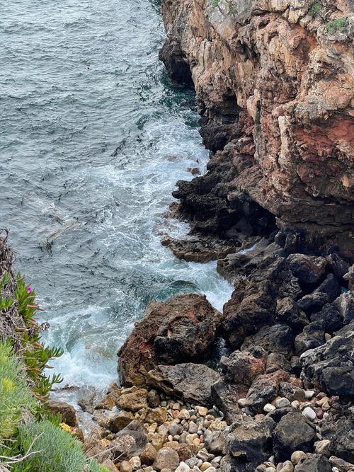 Free A scenic view of waves crashing against a rocky shore with vibrant plants. Stock Photo