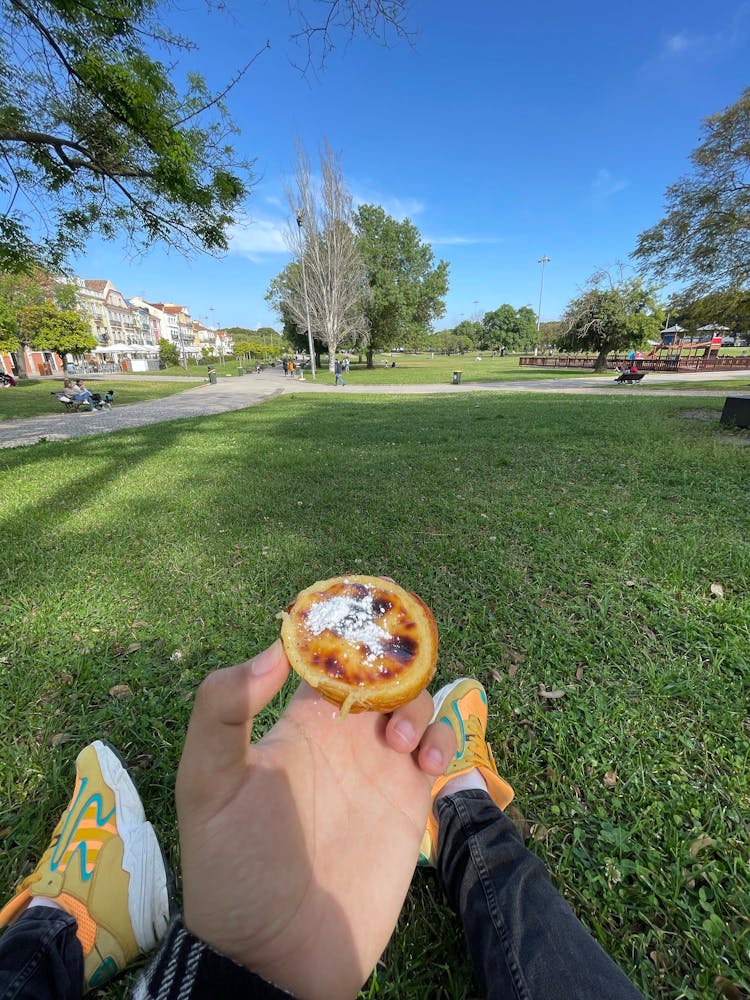 Perspective Of A Man Holding A Fruit In A Park