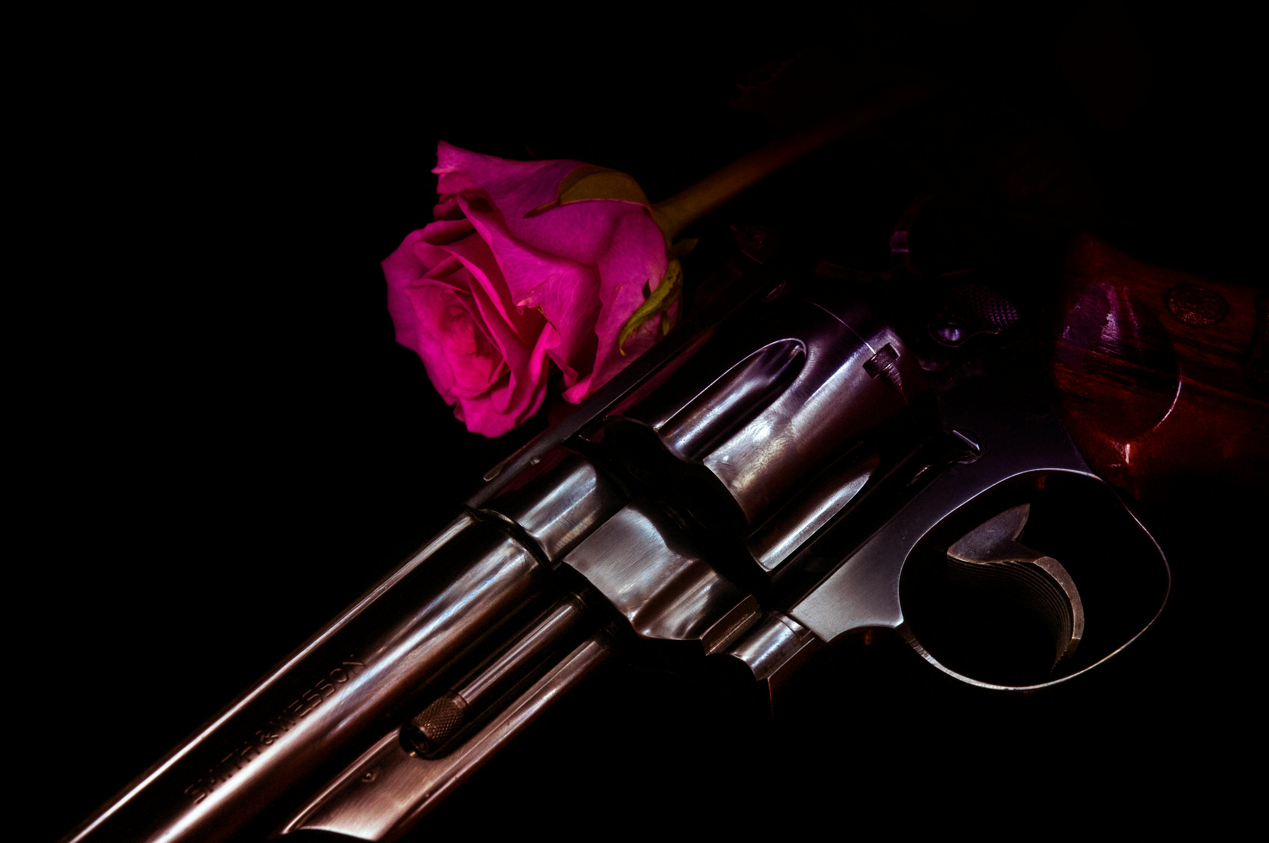 Free stock photo of flower, gun, handgun