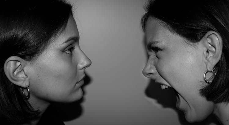 Side View Of Two Women's Face